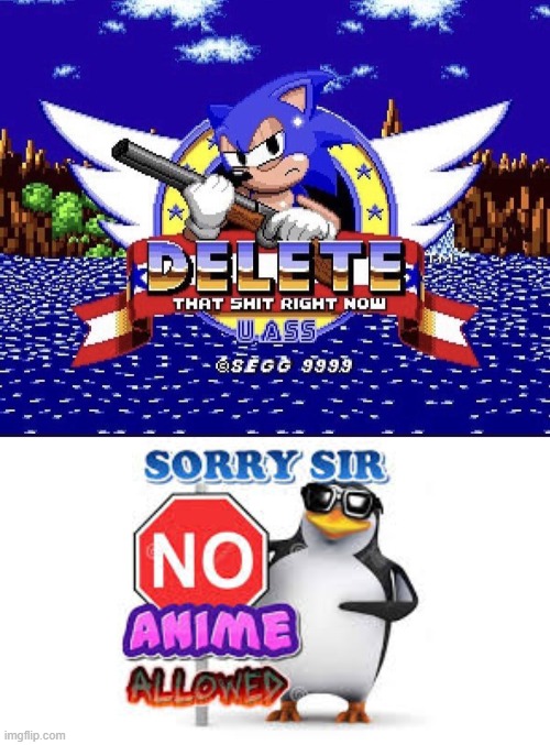 image tagged in sonic delete that sh t right now u a,no anime allowed | made w/ Imgflip meme maker