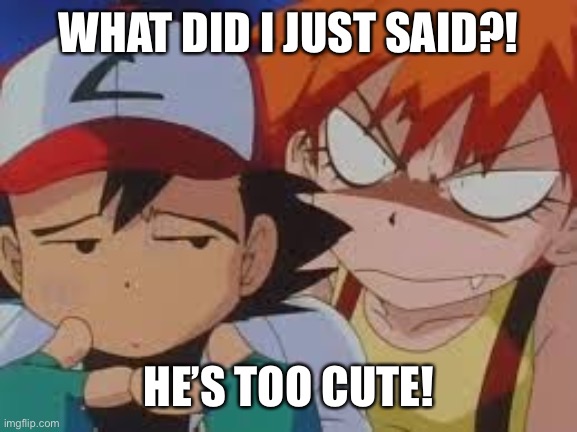 Really Pissed Misty | WHAT DID I JUST SAID?! HE’S TOO CUTE! | image tagged in really pissed misty | made w/ Imgflip meme maker