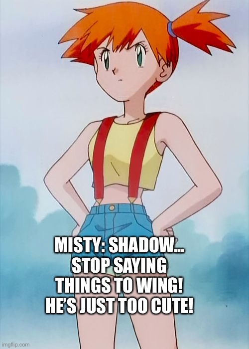 Misty scolds shadow | MISTY: SHADOW... STOP SAYING THINGS TO WING! HE’S JUST TOO CUTE! | image tagged in misty,shadow the hedgehog | made w/ Imgflip meme maker