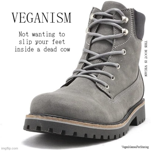 Leather | THIS  BOOT  IS  VEGAN | image tagged in vegan,leather,wool,silk,cows,fur | made w/ Imgflip meme maker