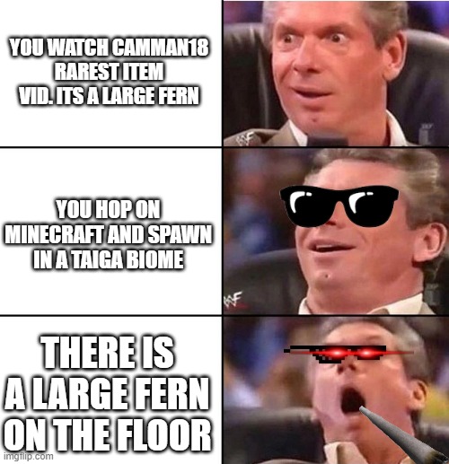 Vince McMahon | YOU WATCH CAMMAN18 RAREST ITEM VID. ITS A LARGE FERN; YOU HOP ON MINECRAFT AND SPAWN IN A TAIGA BIOME; THERE IS A LARGE FERN ON THE FLOOR | image tagged in vince mcmahon | made w/ Imgflip meme maker