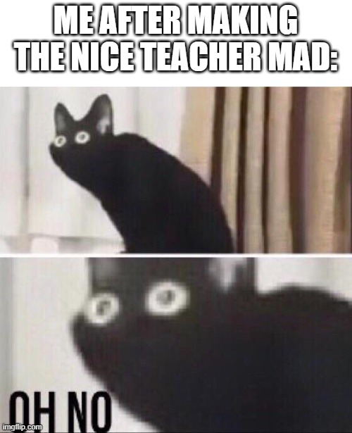 Oh no cat | ME AFTER MAKING THE NICE TEACHER MAD: | image tagged in oh no cat | made w/ Imgflip meme maker