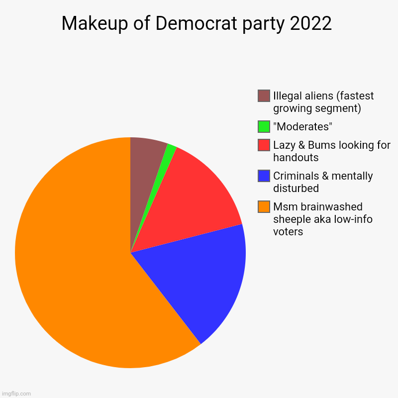 Just who are today's Democrats? (Socialists) | Makeup of Democrat party 2022 | Msm brainwashed sheeple aka low-info voters , Criminals & mentally disturbed , Lazy & Bums looking for hando | image tagged in pie charts,vote,republican,stop,libtards,madness | made w/ Imgflip chart maker
