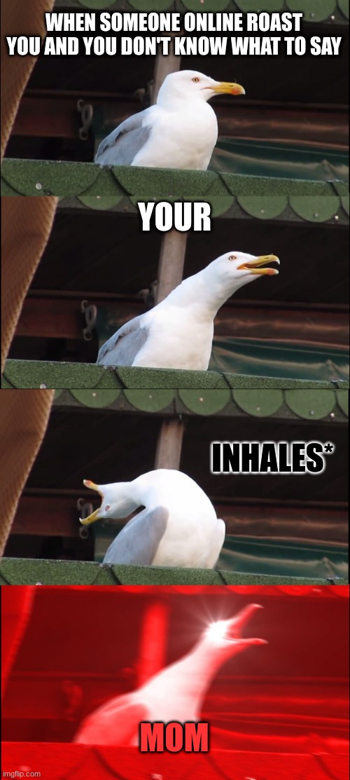 How to win a roast battle 101 | WHEN SOMEONE ONLINE ROAST YOU AND YOU DON'T KNOW WHAT TO SAY; YOUR; INHALES*; MOM | image tagged in memes,inhaling seagull | made w/ Imgflip meme maker