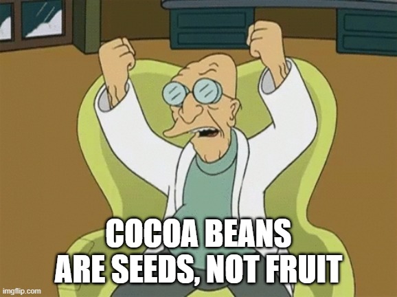Professor Farnsworth Angry | COCOA BEANS ARE SEEDS, NOT FRUIT | image tagged in professor farnsworth angry | made w/ Imgflip meme maker