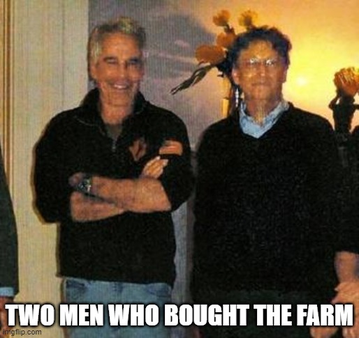 Two men who bought the farm | TWO MEN WHO BOUGHT THE FARM | image tagged in epstein and gates,farmers only,friend or customer,epstein didn't kill himself,buying farmland,common interests | made w/ Imgflip meme maker