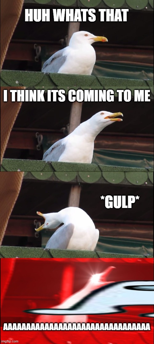 WATCH-.... out.... | HUH WHATS THAT; I THINK ITS COMING TO ME; *GULP*; AAAAAAAAAAAAAAAAAAAAAAAAAAAAAAAA | image tagged in memes,inhaling seagull | made w/ Imgflip meme maker