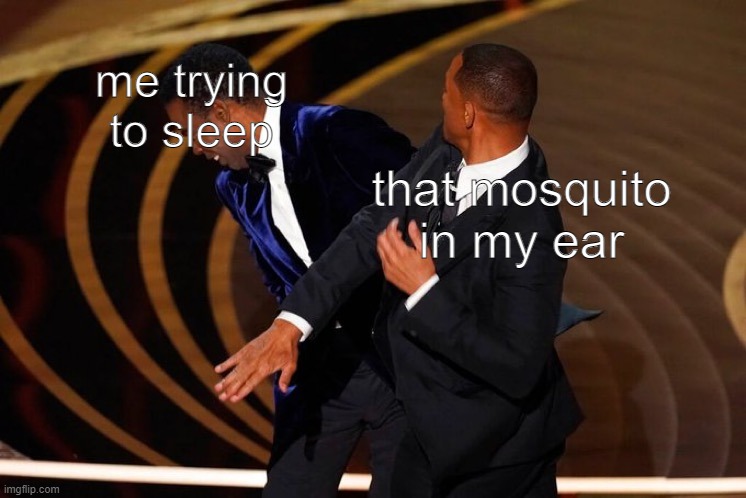 Will Smith Slap | me trying to sleep; that mosquito in my ear | image tagged in will smith slap | made w/ Imgflip meme maker