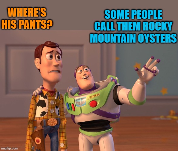 rocky mountain oysters | WHERE'S HIS PANTS? SOME PEOPLE CALL THEM ROCKY MOUNTAIN OYSTERS | image tagged in memes,x x everywhere | made w/ Imgflip meme maker