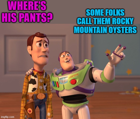 wheres his pants? | SOME FOLKS CALL THEM ROCKY MOUNTAIN OYSTERS; WHERE'S HIS PANTS? | image tagged in memes,x x everywhere,rocky mountain oysters | made w/ Imgflip meme maker