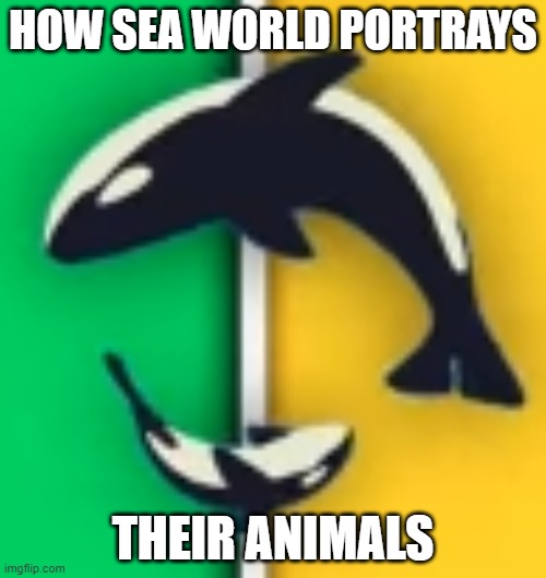weird orcas | HOW SEA WORLD PORTRAYS; THEIR ANIMALS | image tagged in weird orcas | made w/ Imgflip meme maker
