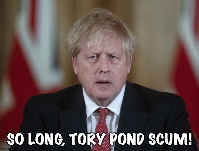 Boris packs it in | SO LONG, TORY POND SCUM! | image tagged in boris johnson confused | made w/ Imgflip meme maker