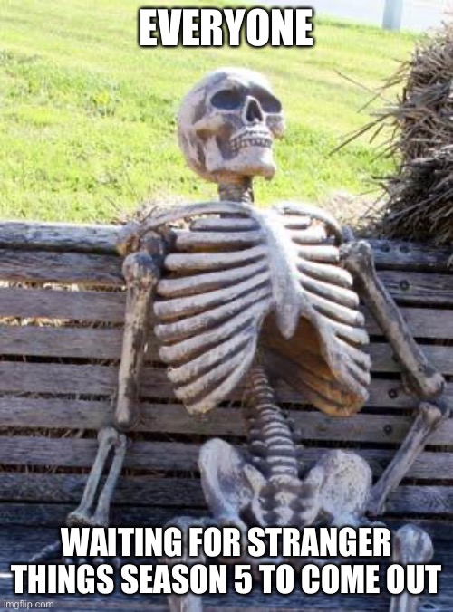 Rip… | EVERYONE; WAITING FOR STRANGER THINGS SEASON 5 TO COME OUT | image tagged in memes,waiting skeleton,funny,meme | made w/ Imgflip meme maker