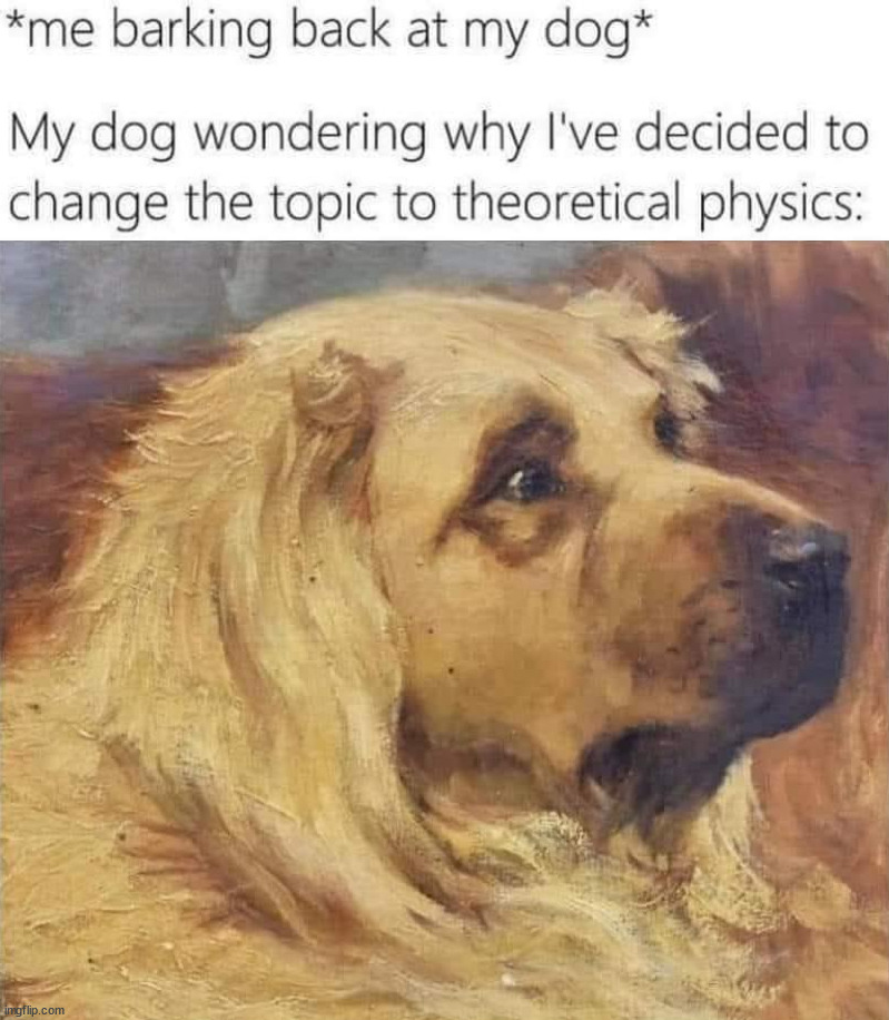 image tagged in dogs | made w/ Imgflip meme maker