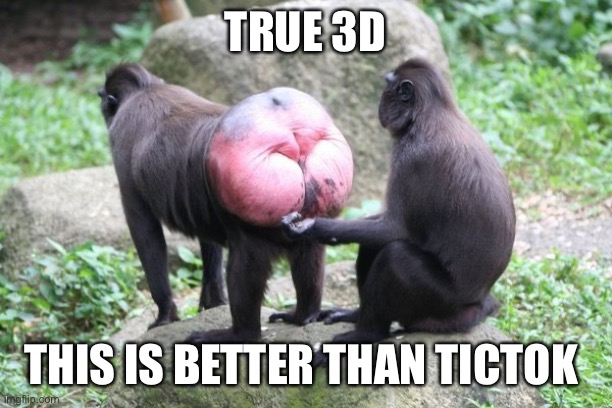 3d | TRUE 3D; THIS IS BETTER THAN TICTOK | image tagged in politicstoo | made w/ Imgflip meme maker