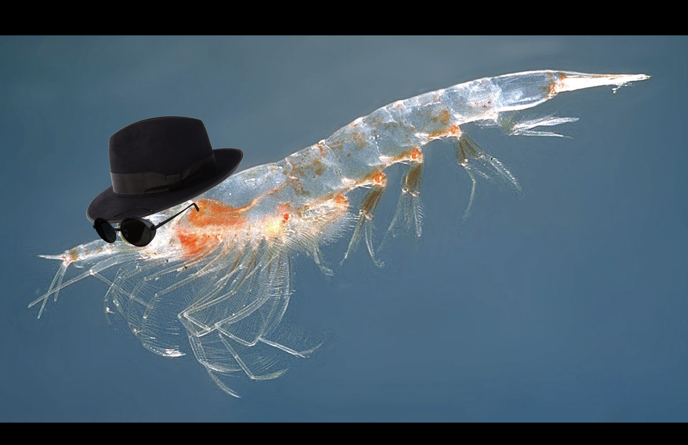 High Quality Krill.I.Am Blank Meme Template