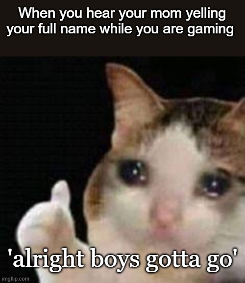 Approved crying cat | When you hear your mom yelling your full name while you are gaming; 'alright boys gotta go' | image tagged in approved crying cat,lol,mom,funny | made w/ Imgflip meme maker