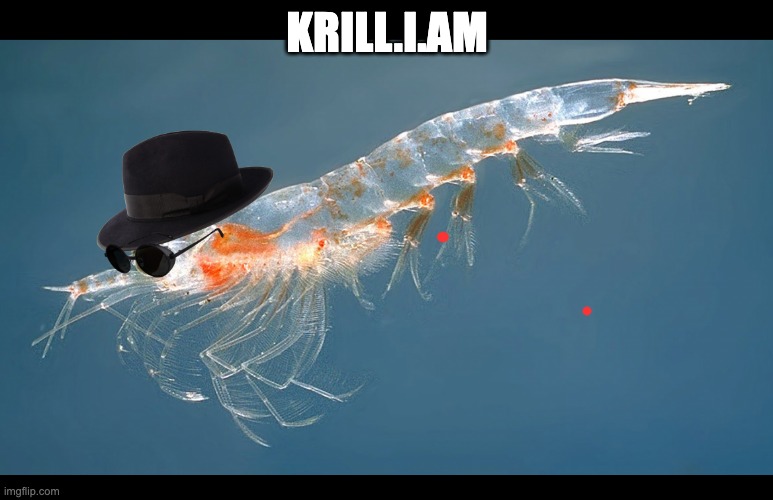 Krill.I.Am | KRILL.I.AM | image tagged in krill | made w/ Imgflip meme maker