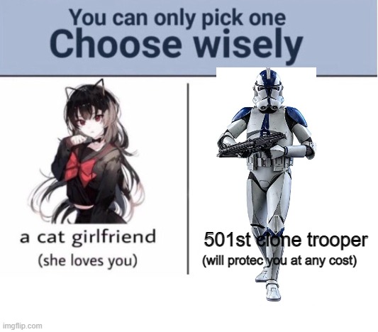 Choose wisely |  501st clone trooper; (will protec you at any cost) | image tagged in choose wisely,star wars,clone wars | made w/ Imgflip meme maker