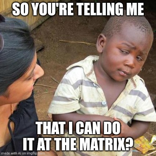 Third World Skeptical Kid | SO YOU'RE TELLING ME; THAT I CAN DO IT AT THE MATRIX? | image tagged in memes,third world skeptical kid,ai meme | made w/ Imgflip meme maker