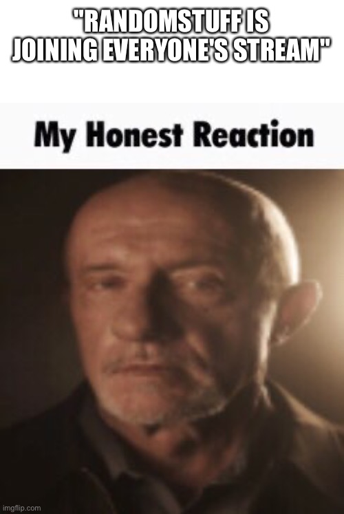 My Honest Reaction | "RANDOMSTUFF IS JOINING EVERYONE'S STREAM" | image tagged in my honest reaction | made w/ Imgflip meme maker