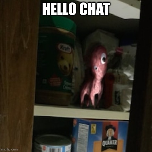 Lil Nugget in the pantry | HELLO CHAT | image tagged in lil nugget in the pantry | made w/ Imgflip meme maker