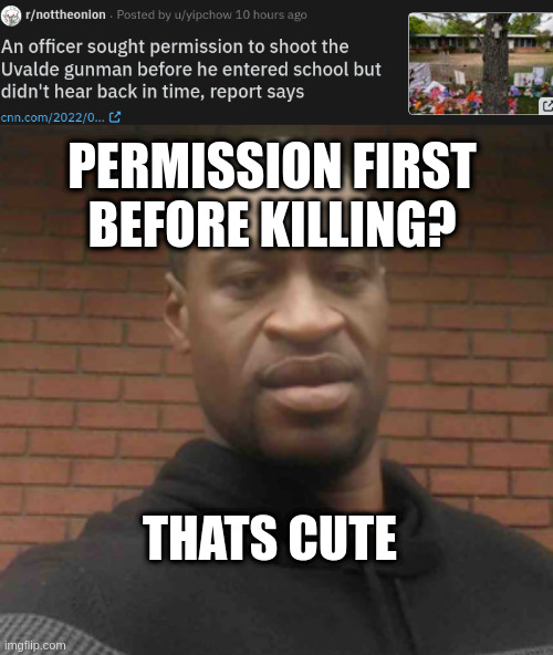 any excuse for not doing the obvious job of protection | PERMISSION FIRST
BEFORE KILLING? THATS CUTE | image tagged in george floyd | made w/ Imgflip meme maker