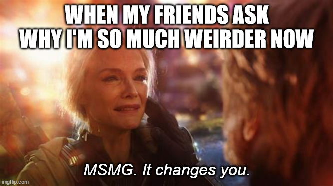scrolling through streams can be dangerous for one's sanity | WHEN MY FRIENDS ASK WHY I'M SO MUCH WEIRDER NOW; MSMG. It changes you. | image tagged in ant man,marvel | made w/ Imgflip meme maker