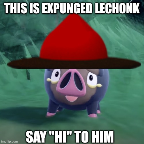 EXPUNGED LECHONK | THIS IS EXPUNGED LECHONK; SAY "HI" TO HIM | image tagged in lechonk,dave and bambi,pokemon,pokemon memes | made w/ Imgflip meme maker
