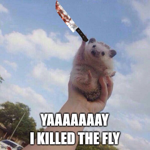 lets go | YAAAAAAAY I KILLED THE FLY | image tagged in lets go | made w/ Imgflip meme maker
