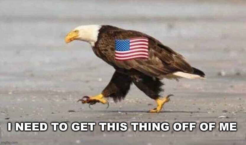 I NEED TO GET THIS THING OFF OF ME | image tagged in propaganda,eagle,flag,corruption,destruction | made w/ Imgflip meme maker