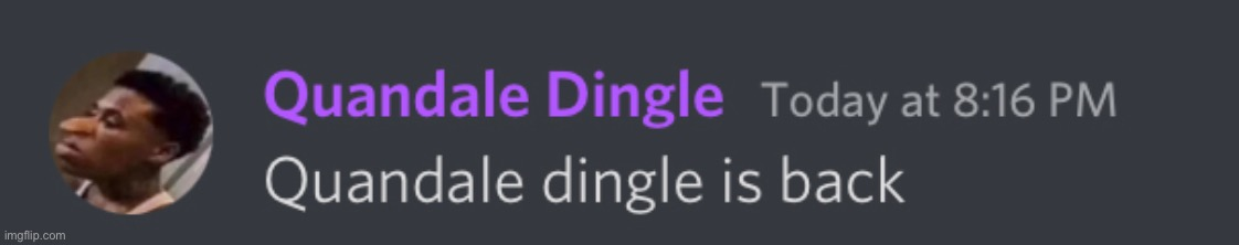 High Quality quandal dingle is back Blank Meme Template