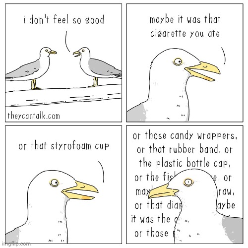 Oop | image tagged in birds,bird,food,comics,comic,comics/cartoons | made w/ Imgflip meme maker