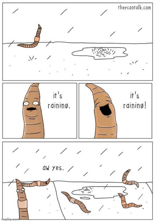 Worms and rain | image tagged in worms,worm,raining,rain,comic,comics/cartoons | made w/ Imgflip meme maker