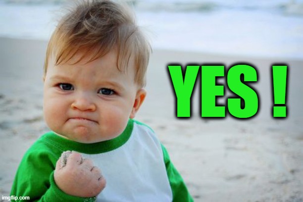 Success Kid Original Meme | YES ! | image tagged in memes,success kid original | made w/ Imgflip meme maker