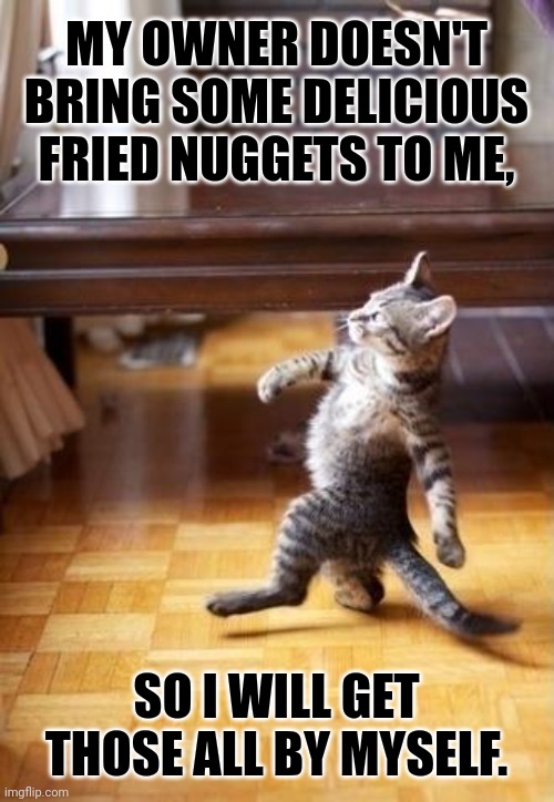 Cool Cat Stroll | MY OWNER DOESN'T BRING SOME DELICIOUS FRIED NUGGETS TO ME, SO I WILL GET THOSE ALL BY MYSELF. | image tagged in memes,feast,kitty | made w/ Imgflip meme maker