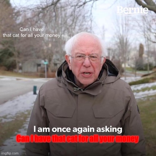 Bernie I Am Once Again Asking For Your Support Meme | Can I have that cat for all your money Can I have that cat for all your money | image tagged in memes,bernie i am once again asking for your support | made w/ Imgflip meme maker