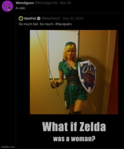 Pathetic. The failiest fail ever. | image tagged in link,not zelda,special kind of stupid | made w/ Imgflip meme maker