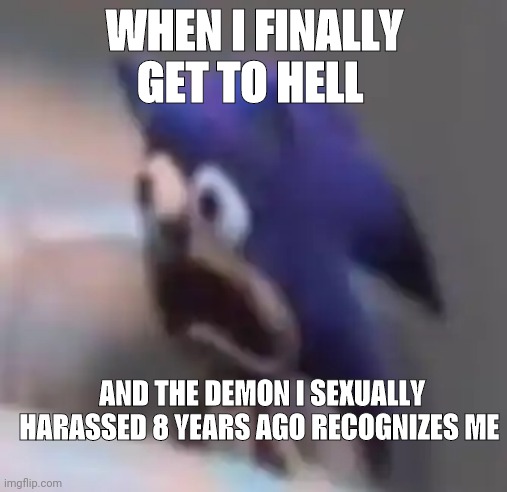 Traumatised Sonic | WHEN I FINALLY GET TO HELL; AND THE DEMON I SEXUALLY HARASSED 8 YEARS AGO RECOGNIZES ME | image tagged in traumatised sonic | made w/ Imgflip meme maker