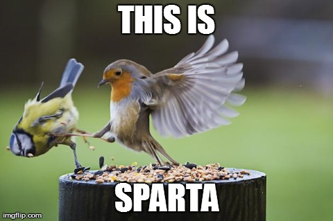 THIS IS SPARTA | image tagged in AdviceAnimals | made w/ Imgflip meme maker