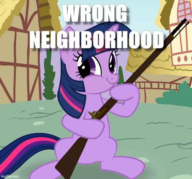 Wrong Neighborhood 2 | image tagged in wrong neighborhood,twilight sparkle,funny,memes,gun | made w/ Imgflip meme maker