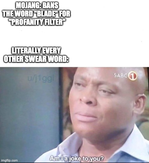 the f#@&ing profanity filter is stupid | MOJANG: BANS THE WORD "BLADE" FOR 
"PROFANITY FILTER"; LITERALLY EVERY OTHER SWEAR WORD: | image tagged in am i a joke to you | made w/ Imgflip meme maker