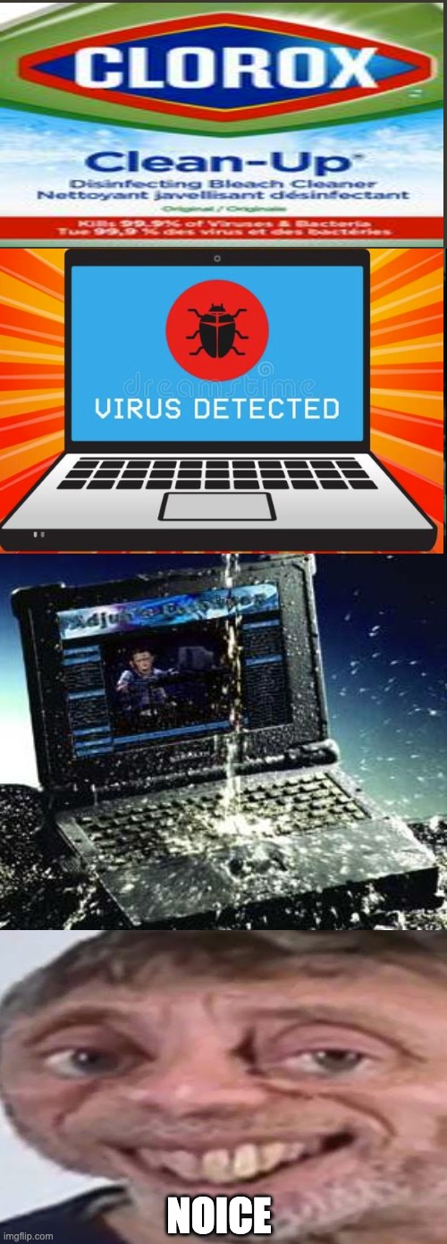 how to get rid of computer viruses easly | NOICE | image tagged in memes,inhaling seagull | made w/ Imgflip meme maker