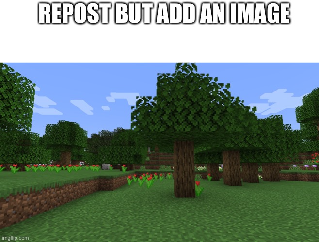 Minecraft forest | REPOST BUT ADD AN IMAGE | image tagged in minecraft forest | made w/ Imgflip meme maker