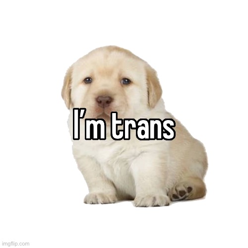 I’ve found out | made w/ Imgflip meme maker