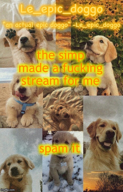 Doggo temp by doggo. Wait what that’s confusing | the simp made a fucking stream for me; spam it | image tagged in doggo temp by doggo wait what that s confusing | made w/ Imgflip meme maker