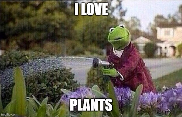 Kermit Watering Plants | I LOVE PLANTS | image tagged in kermit watering plants | made w/ Imgflip meme maker