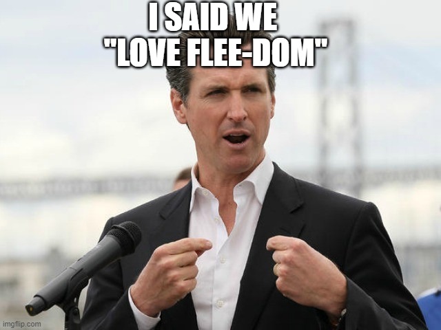 gavin newsome | I SAID WE 
"LOVE FLEE-DOM" | image tagged in gavin newsome | made w/ Imgflip meme maker