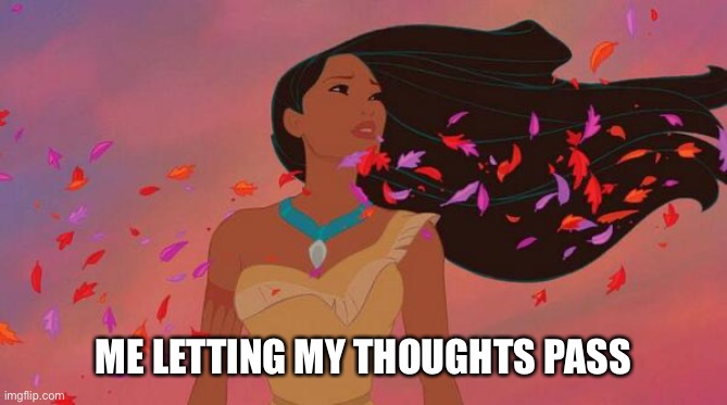 Pocahontas | ME LETTING MY THOUGHTS PASS | image tagged in pocahontas | made w/ Imgflip meme maker