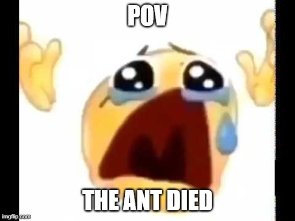 cursed crying emoji | POV THE ANT DIED | image tagged in cursed crying emoji | made w/ Imgflip meme maker